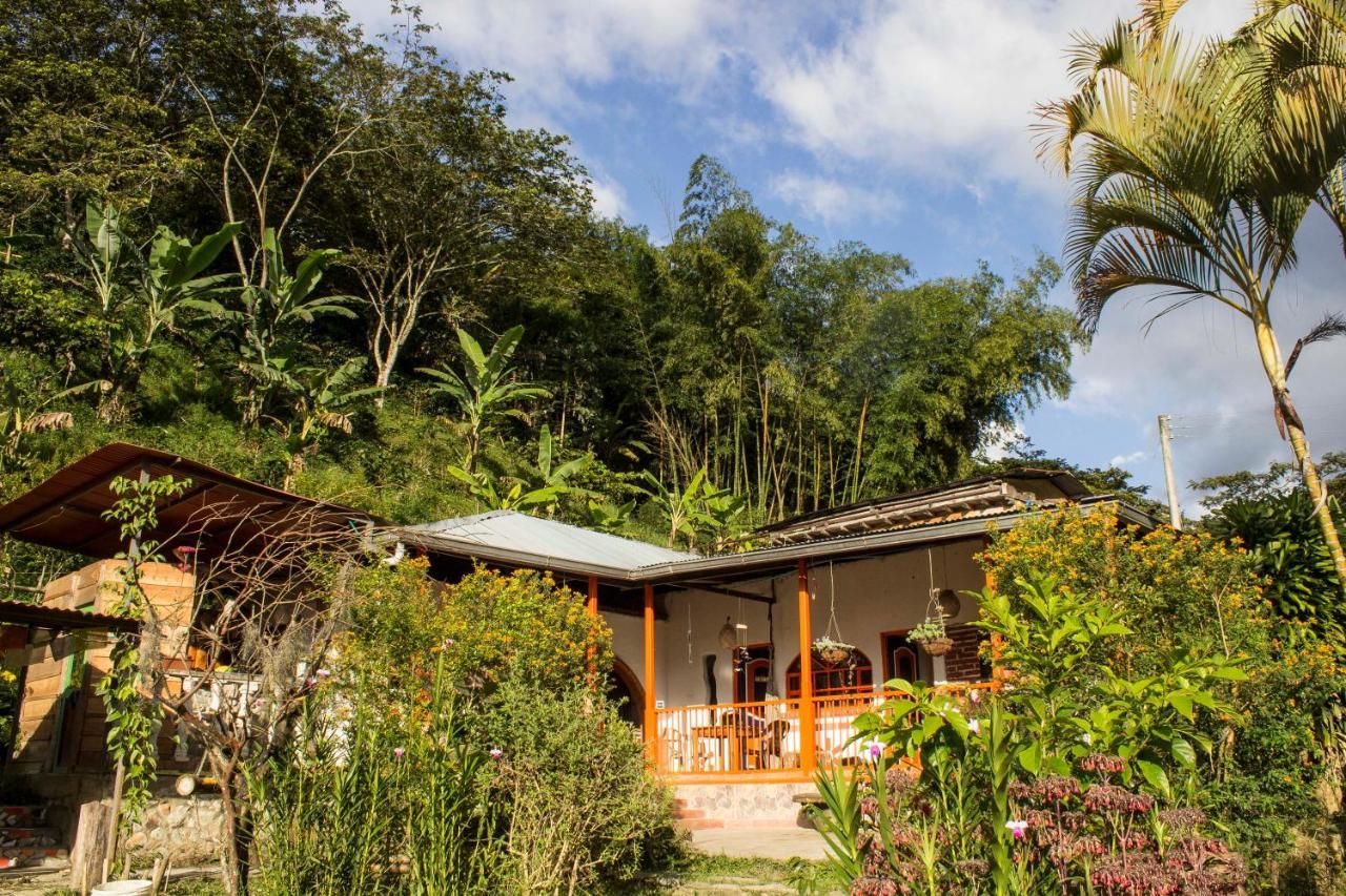 Habitacion Las Bromelias, Pijao, Finca Flora Del Rio 외부 사진